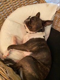 中村江里子『それしか出来ない。』