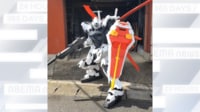 【映像】リアルすぎる『ガンダム』の全身コスプレ