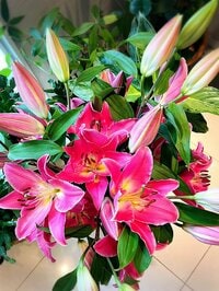 小川菜摘『百合』