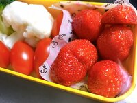 山川恵里佳『体調不良』