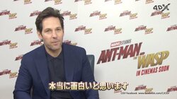 マーベル最新作『アントマン＆ワスプ』4DX上映決定！ ポール・ラッド出演の特別映像も到着