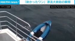 「助けたぞ！」沖合4kmを漂流するカヤック…中にいたのはまさかの“犬”!? 転落ハプニングを乗り越え無事救出 英