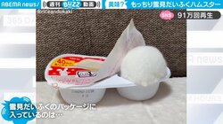 動くもふもふした雪見だいふく!? もっちりとした真っ白な正体に「食べられません」「かわいい」90万回再生