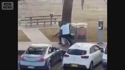 凶行を止めた“果物屋”シドニー銃乱射事件　容疑者は親子　息子には過去に…