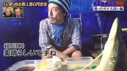 「お腹が減っているから人間を襲う」1対1の死闘を繰り広げたナスDが説く“サメの危険性”