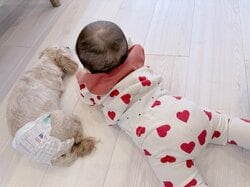 “豪邸”と話題・辻希美、自宅の床暖房の上でリラックスする夢空ちゃんの様子にメロメロ「かわいいいい」