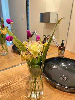  堀ちえみ、歩行に影響が出るほどの痛み「訳がわからなくなってきます」 