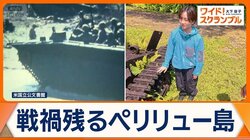 板垣李光人が見た戦争の現実　激戦の地ペリリュー島　戦後80年