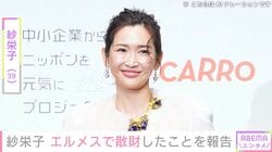 紗栄子「ちょっと病気発症しちゃって」エルメスで143万円のバッグや11万円のぬいぐるみなどを爆買い「それだけ稼いでるんだね」と反響