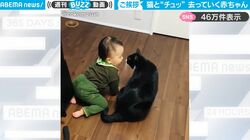 猫と赤ちゃんがすれ違いざまに…チュっ！あまりに尊すぎる仲良しシーンに「かわいすぎて涙出る」「エンドレスで見ていられる愛しさ」