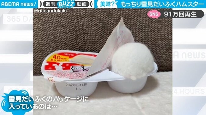 動くもふもふした雪見だいふく!? もっちりとした真っ白な正体に「食べられません」「かわいい」90万回再生 1枚目