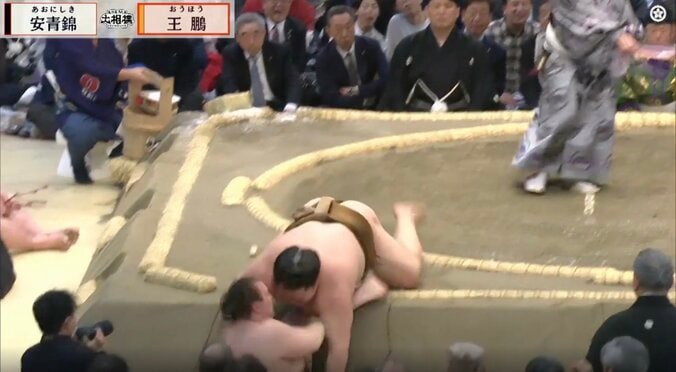 危ない！安青錦、3敗目の裏でまさかのハプニング　土俵下に転落で「カメラマン被弾」中継が捉えた危機一髪の一幕 2枚目