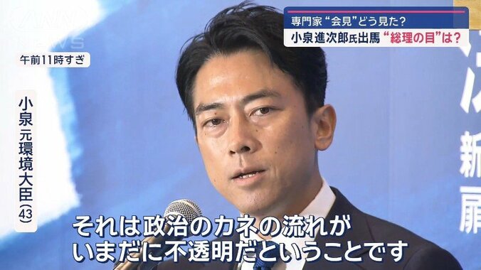 小泉進次郎氏が出馬会見 “総理の可能性”専門家の見方は？ 4枚目