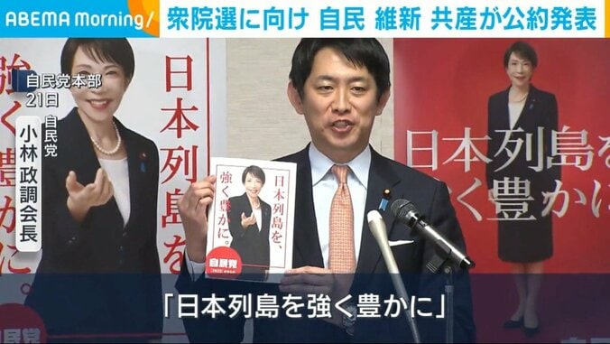自民・小林政調会長