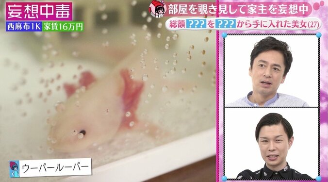 ジョニー・デップに口説かれたモデルの自宅公開！　“パトロン”に貢がれた額は「1億円超えてる」 8枚目