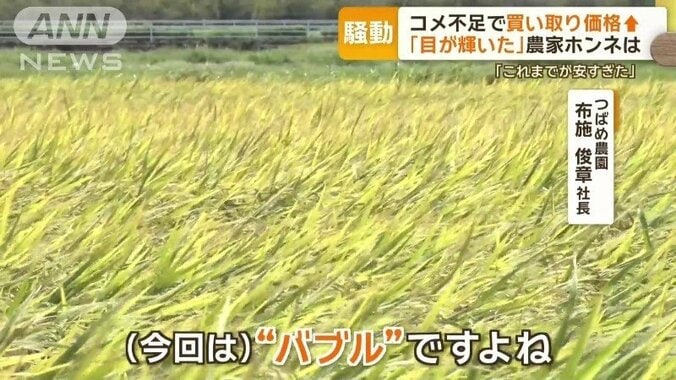 「（今回は）“バブル”ですよね」