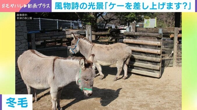 到津の森公園