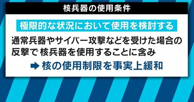 アメリカが核戦略を抜本見直し！「北朝鮮への先制攻撃でうまく使える核兵器はアメリカにはない」 5枚目
