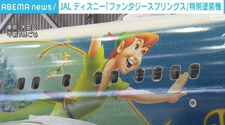 ディズニー仕様の飛行機