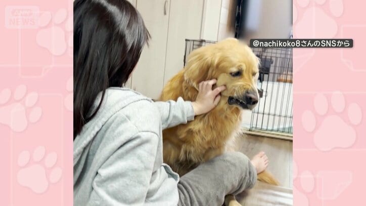 なぜなでられた方だけ口角上がる？