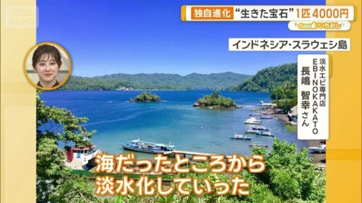 インドネシア　スラウェシ島