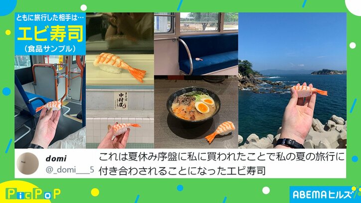 立派な"おとも"ですし!…“ネタ” じゃない本気の旅行相手に「かわいい」「感性が好きwww」と反響続々