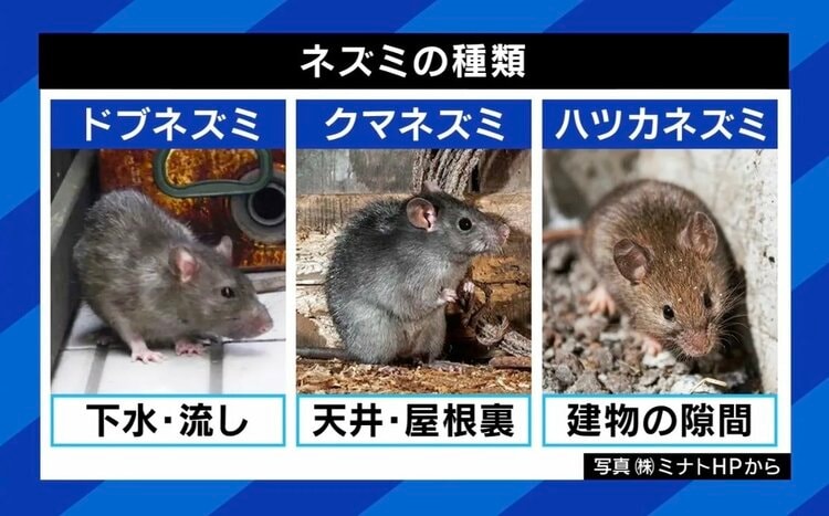 写真・画像】「路上飲みを規制すべきとは思わない」 新宿区が歌舞伎町