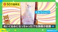まるでぬいぐるみ!? 窓際に座る猫が「違和感なく溶け込んでる」「一瞬どれか探してしまった」驚きの声
