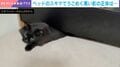 ベッドの下でうごめく“黒い影”→突然現れる黒猫の姿に「愛せる方の黒いやつ」「まじで猫って液体」など反響