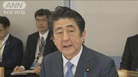 政治ニュース - 防衛大綱を閣議決定　「多次元統合防衛力」とは | 動画視聴は【Abemaビデオ(AbemaTV)】