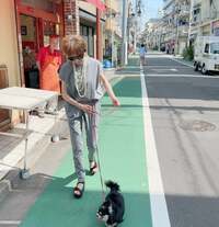 小柳ルミ子『歯医者の定期検診』