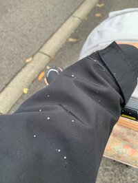 紺野あさ美『週刊新潮さん』