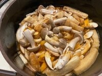 尾形あい『はりきると必ず失敗するのです』