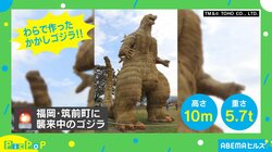 ギネス世界記録認定！「藁で作ったかかしゴジラ」が襲来した場所とは？