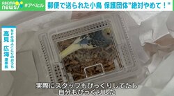 生きたインコを「ゆうパック」で一方的に送付！？ 「命をなんだと」保護団体怒り 神庭亮介氏「“中途半端な優しさ”が仇になった」 対策は？