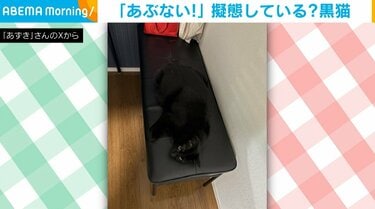 黒猫さん確認用 くろねこかあさん｜福音館書店