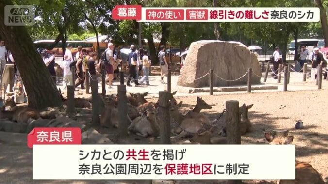 奈良公園周辺を保護地区に制定