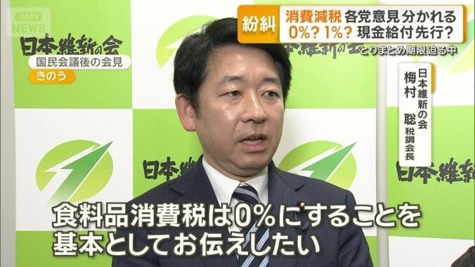 日本維新の会　梅村聡税調会長