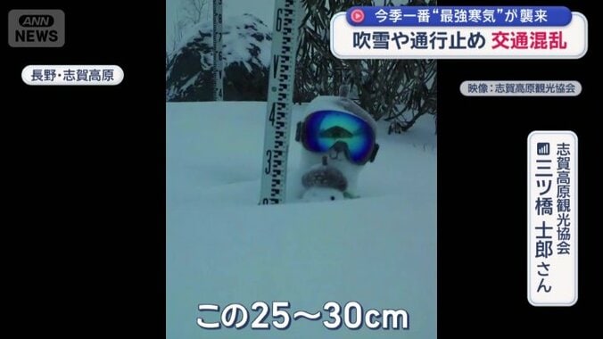雪に埋もれる