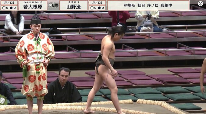 序ノ口筆頭・山野邊（出羽海）