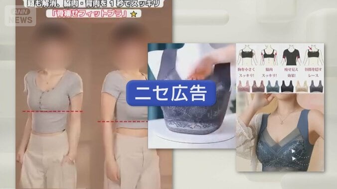 狙われる“日本ブランド”相次ぐニセ広告被害 1枚目