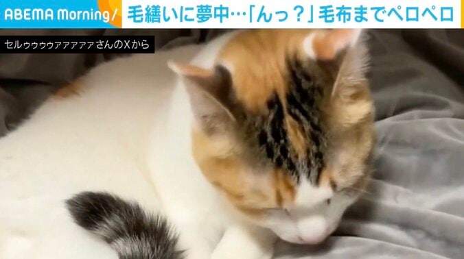 セルジオ悦子ちゃん