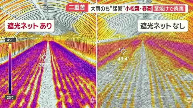 サーモカメラで比較