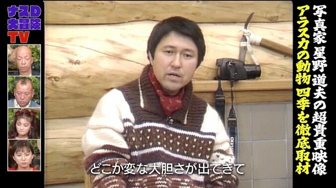 クマに襲われて亡くなるも…写真家・星野道夫さんが生前に銃を持たなかった理由 3枚目