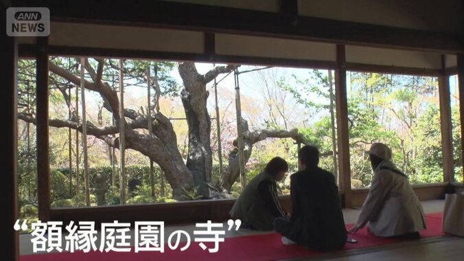 “額縁庭園の寺”