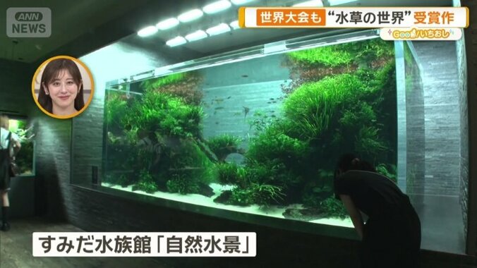 すみだ水族館「自然水景」
