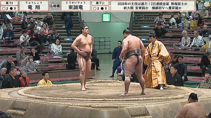 手足がスラリと伸びた体躯