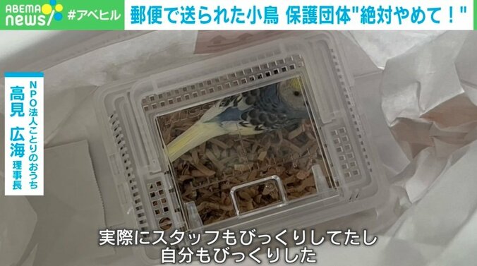 【写真・画像】生きたインコを「ゆうパック」で一方的に送付！？ 「命をなんだと」保護団体怒り 神庭亮介氏「“中途半端な優しさ”が仇になった」 対策は？　1枚目