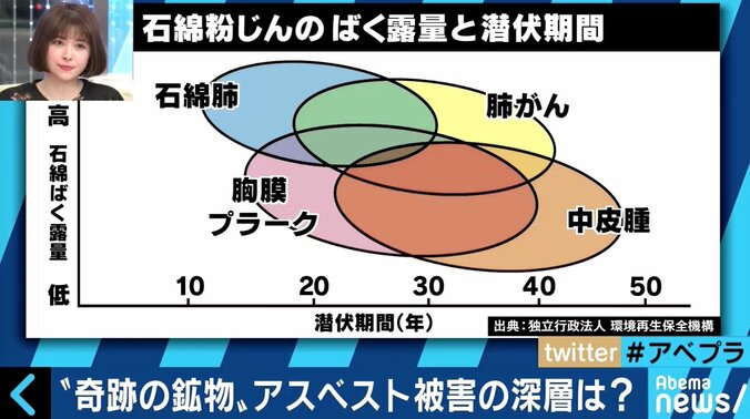 2030年に再び危機が訪れる可能性　「ニッポン国VS泉南石綿村」ドキュメンタリーの鬼才が見たアスベスト訴訟 3枚目