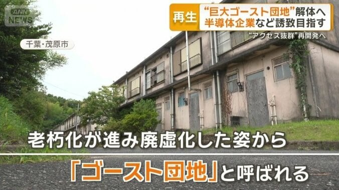 人の気配はなく…